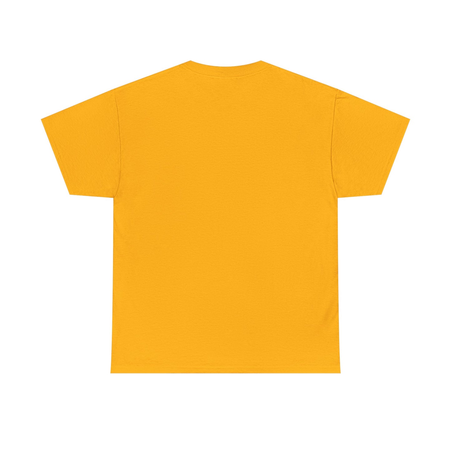 Sensitive Topic – Funny Sarcastic T-Shirt